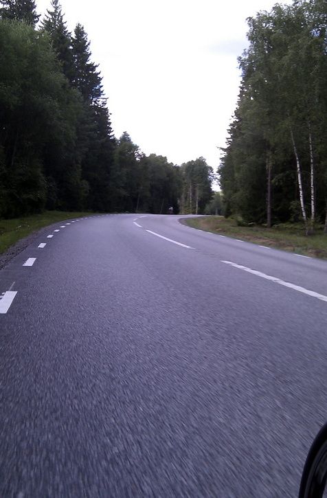 IMAG0607.jpg ht=725