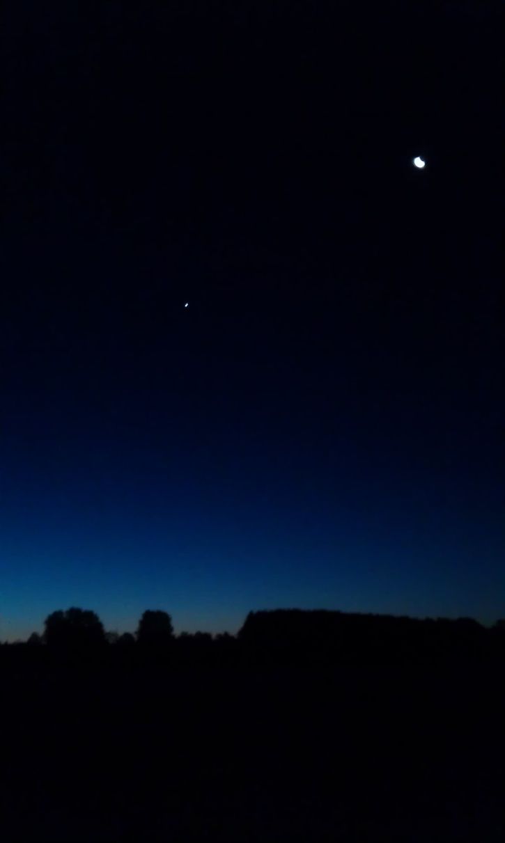 IMAG0634.jpg
