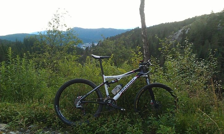 IMAG0645.jpg