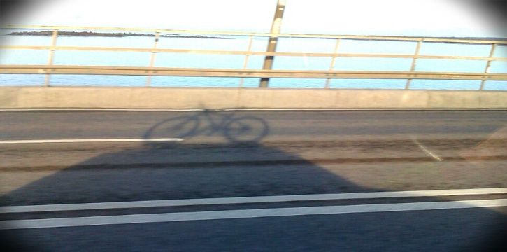 IMAG0659_edit0.jpg