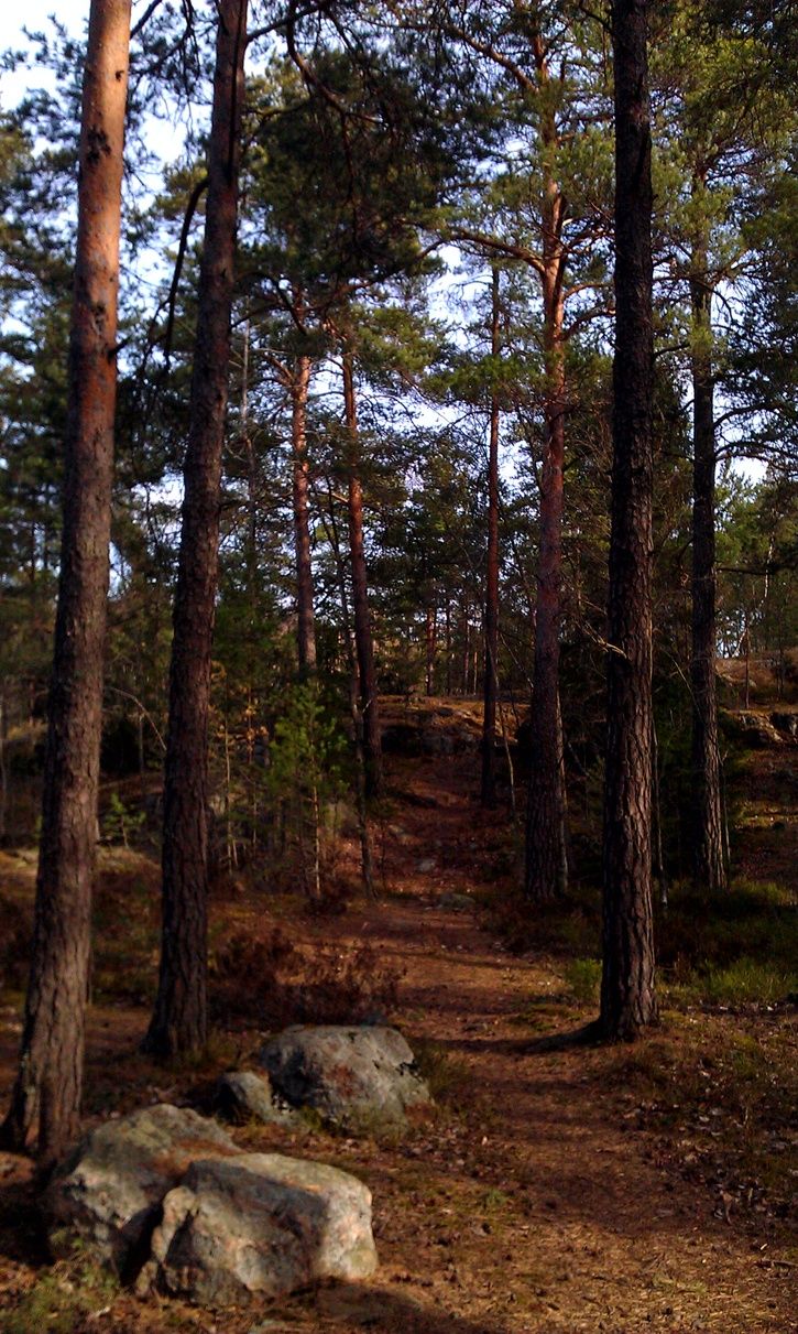 IMAG0689-1.jpg