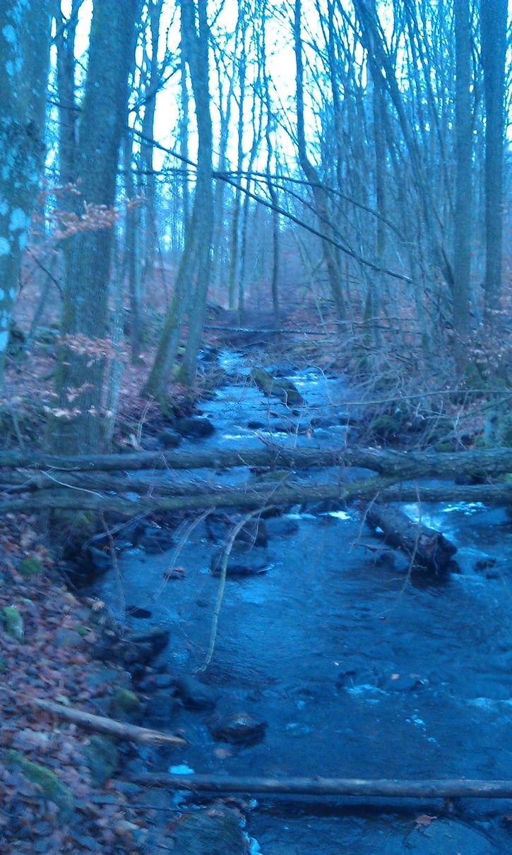 IMAG0809.jpg