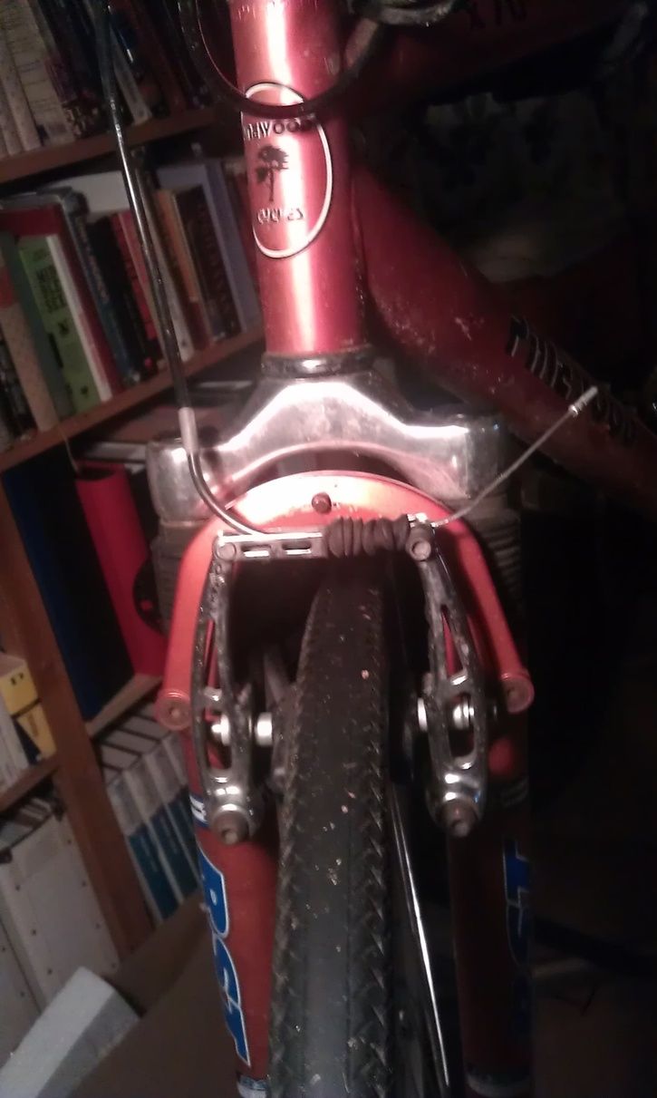 IMAG0837.jpg