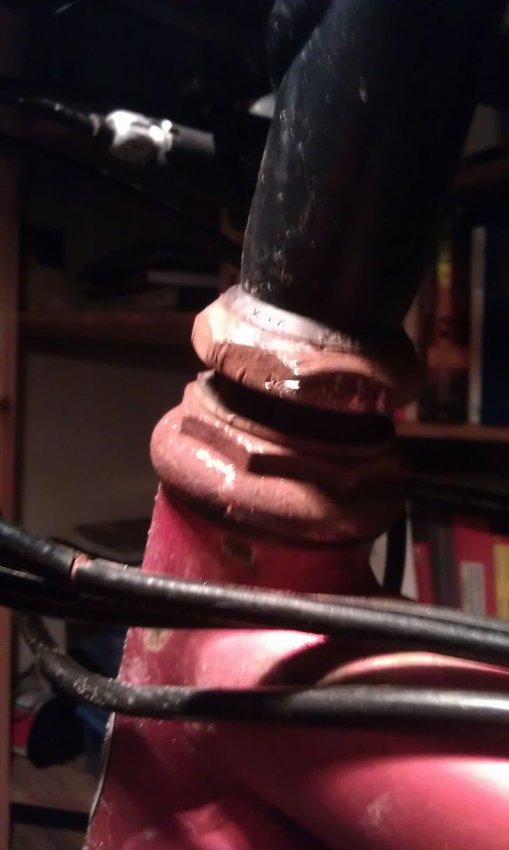 IMAG0861.jpg