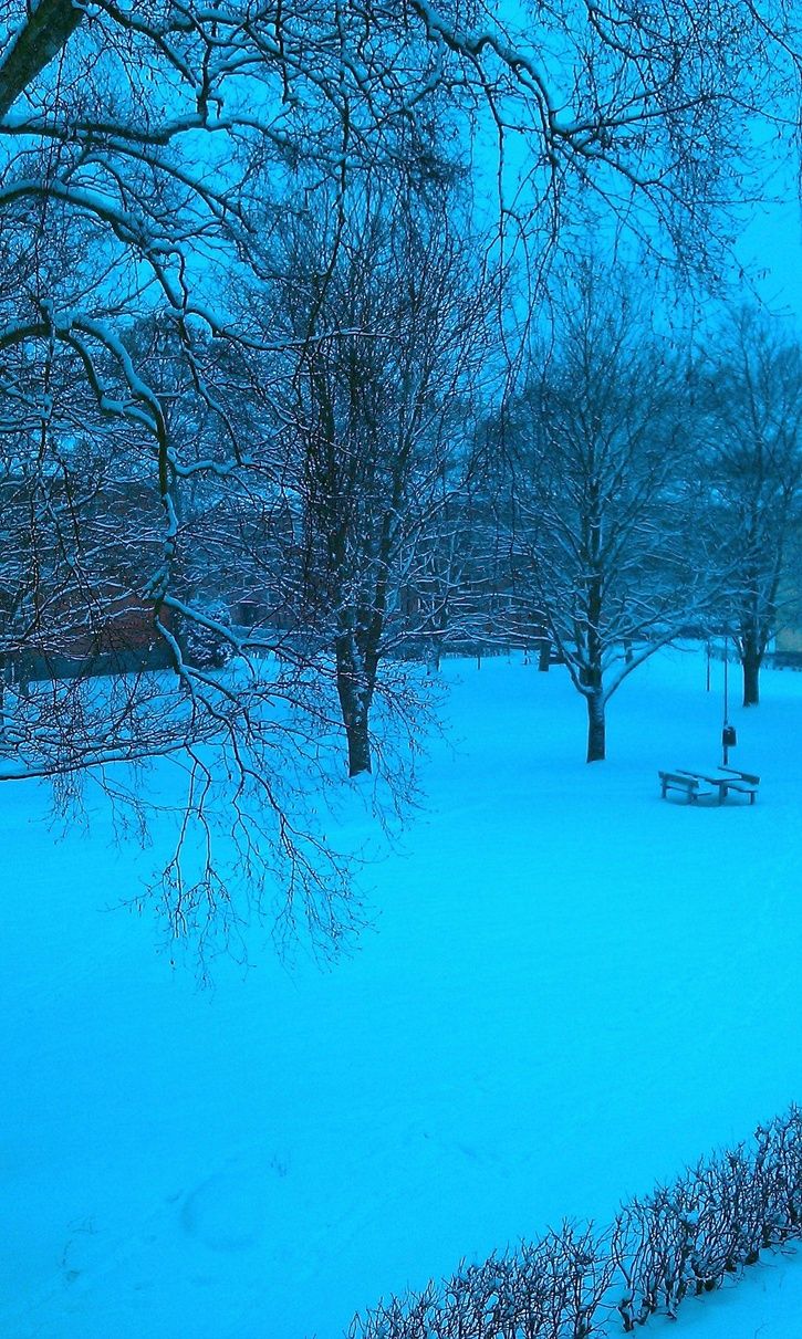 IMAG0869.jpg
