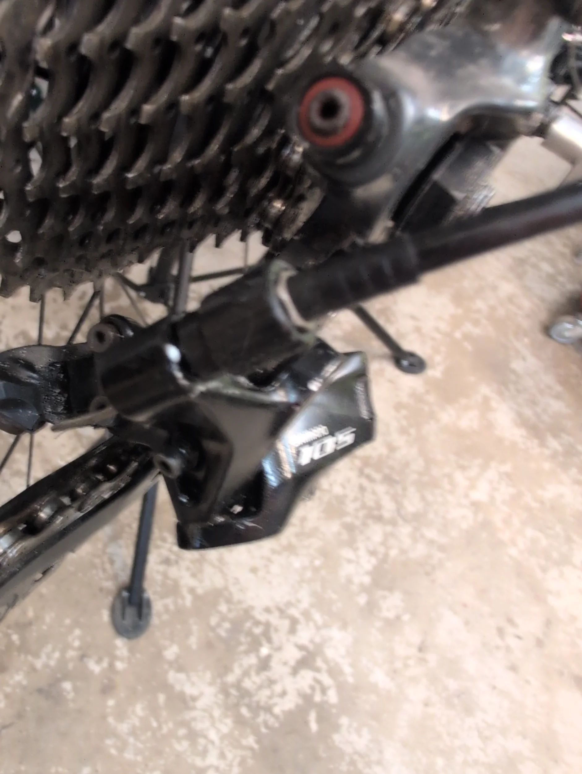 image-1778646611055.webp