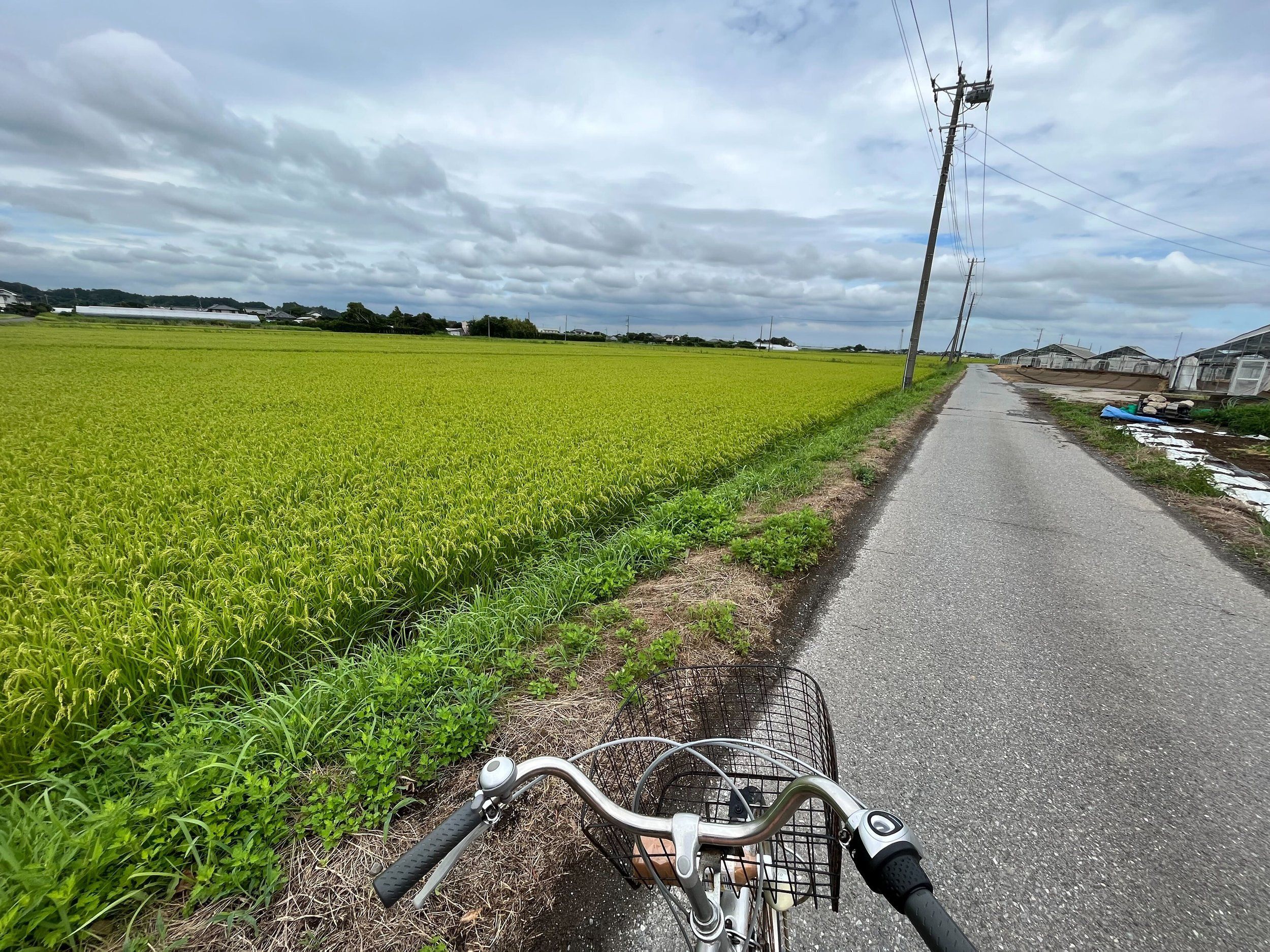 Image from iOS (2).jpg
