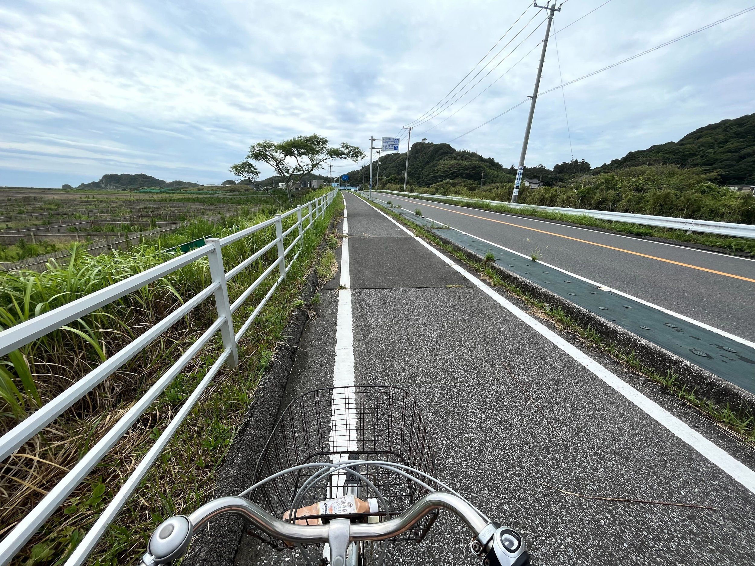 Image from iOS (7).jpg
