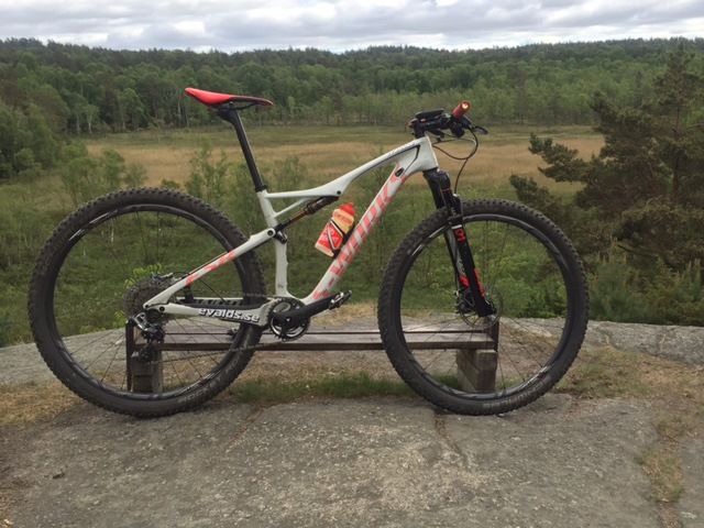 image.jpeg