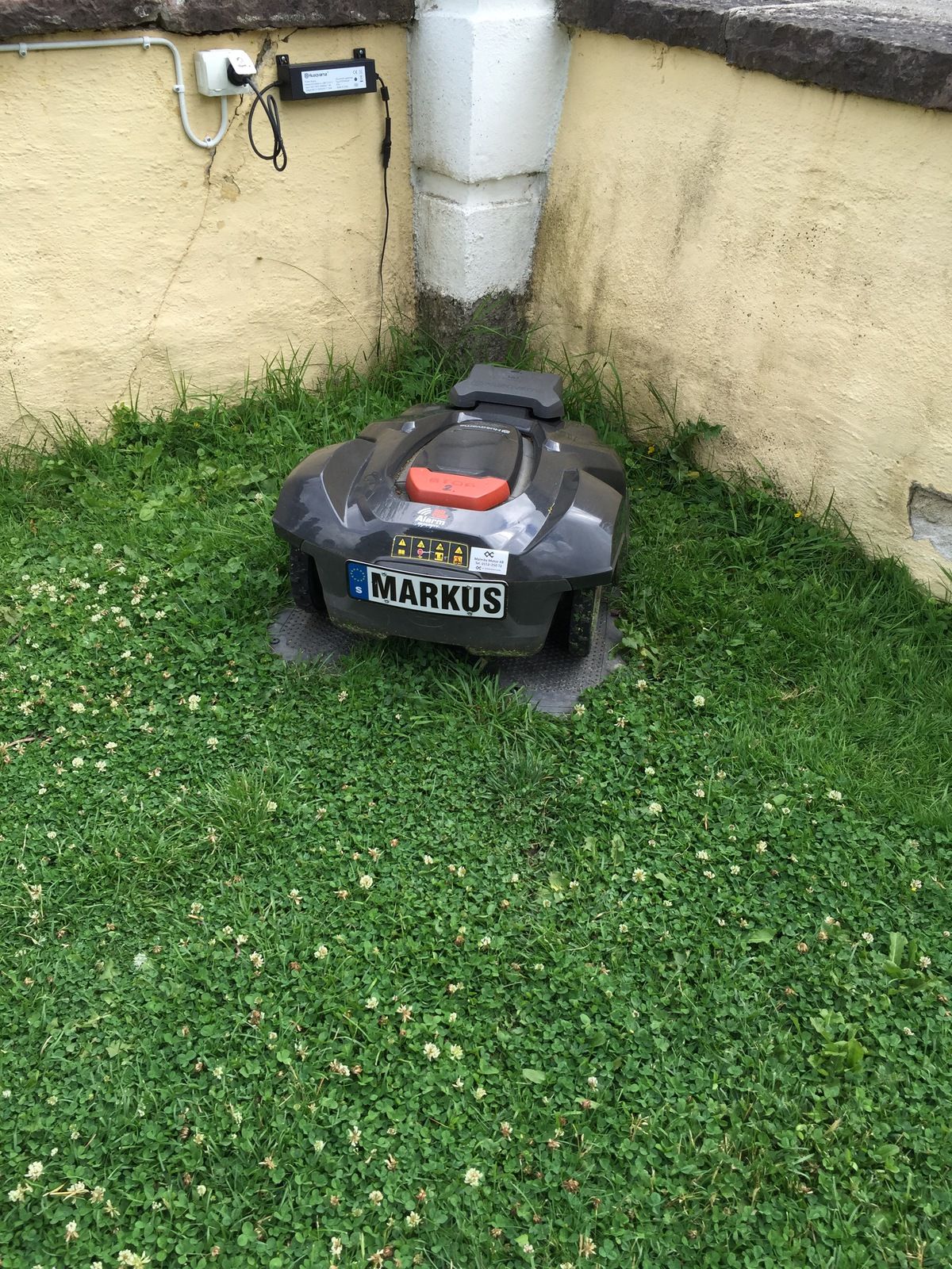 image.jpeg