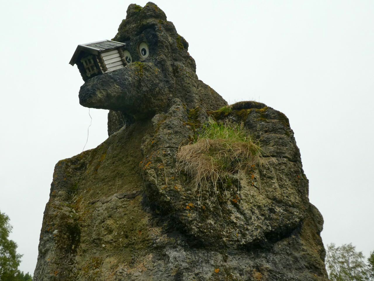 image.jpg