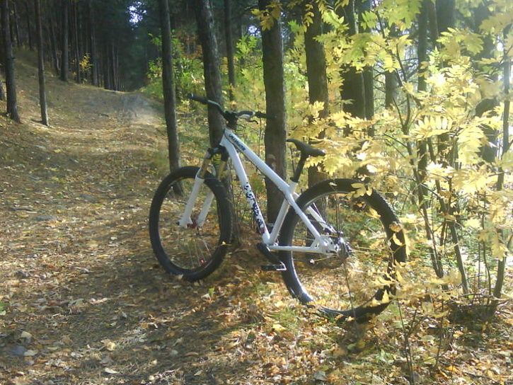 image-upload-85-756357.jpg ht=544