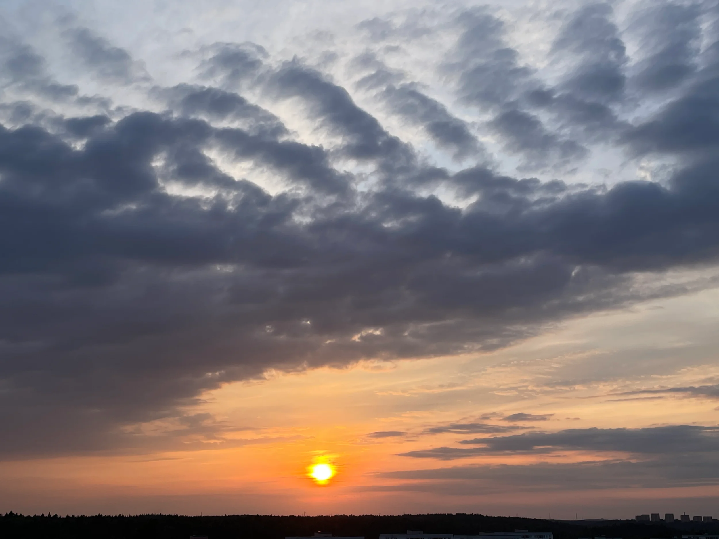 image.webp