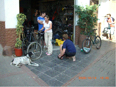 image002.gif ht=345