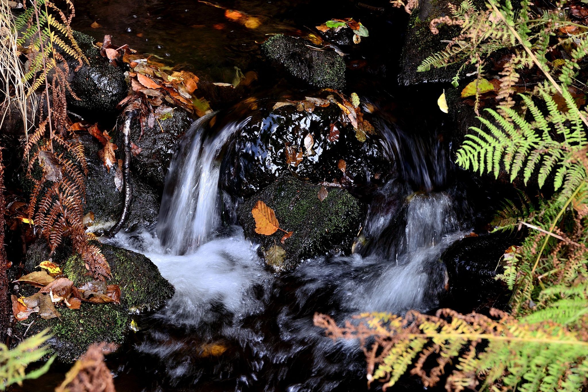 image002.jpg