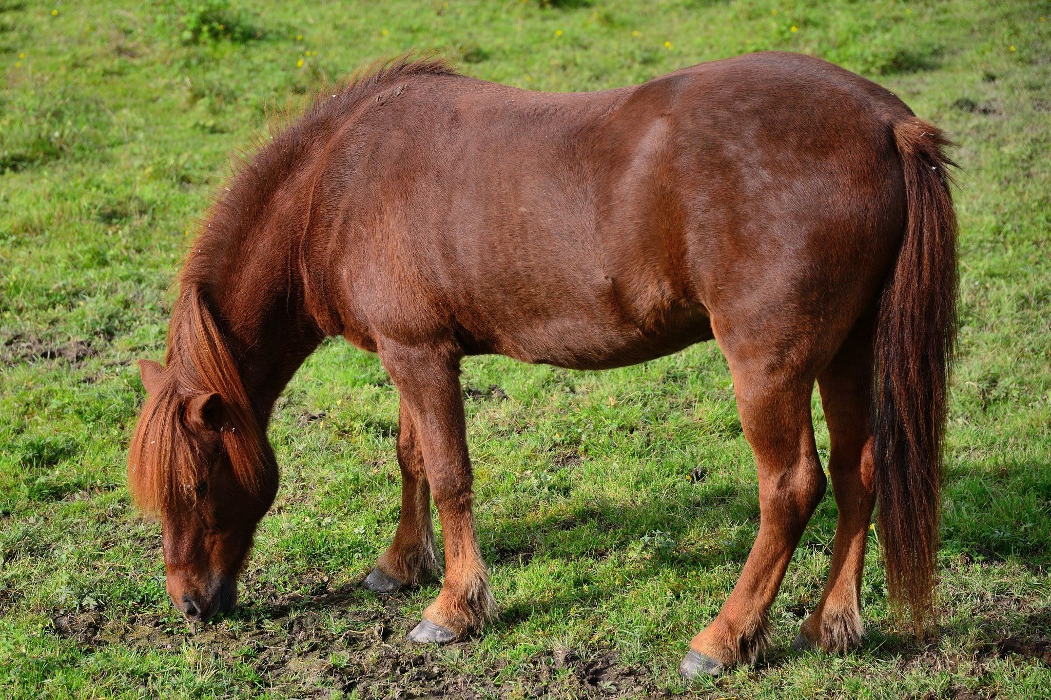 image006.jpg