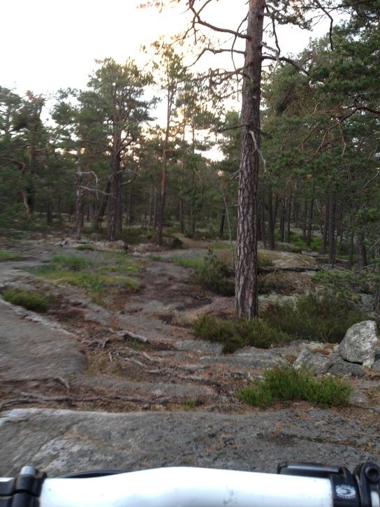 image3.jpg