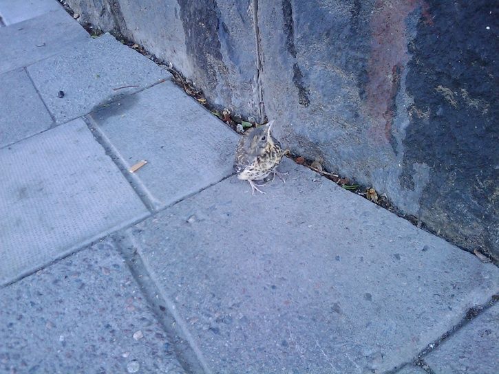 IMAGE_018.jpg ht=544