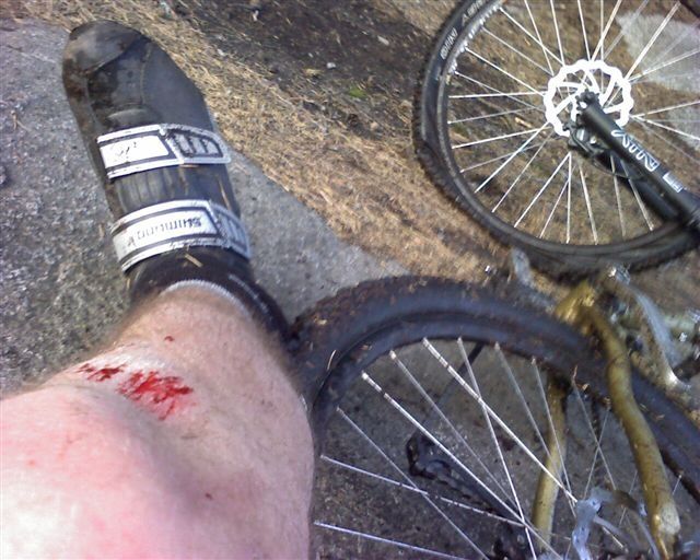 IMAGE_027.jpg ht=512