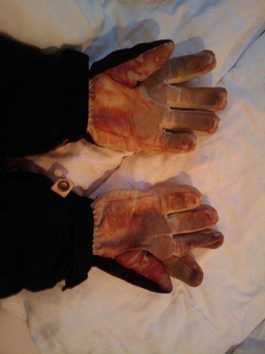 IMAGE_030.jpg ht=725
