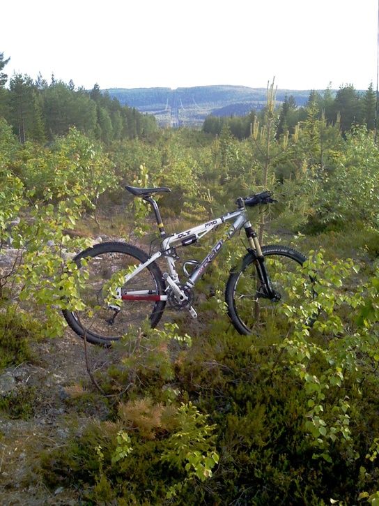 IMAGE_035.jpg ht=725