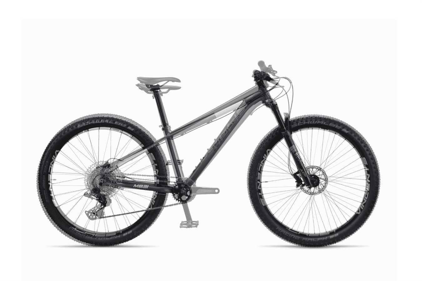 imageonline-co-overlayed-image (9).png