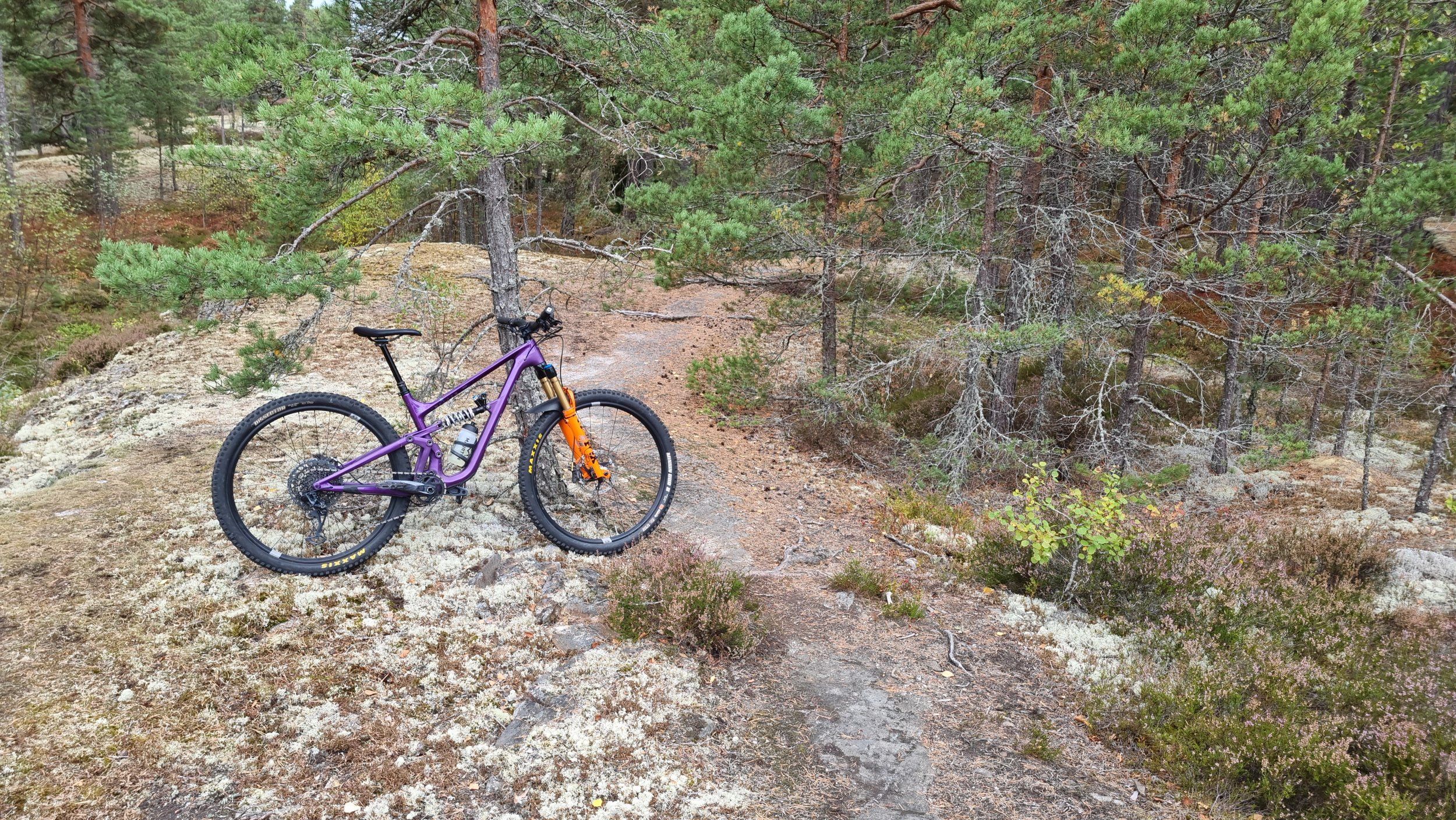 IMG-20220913-WA0000.jpeg