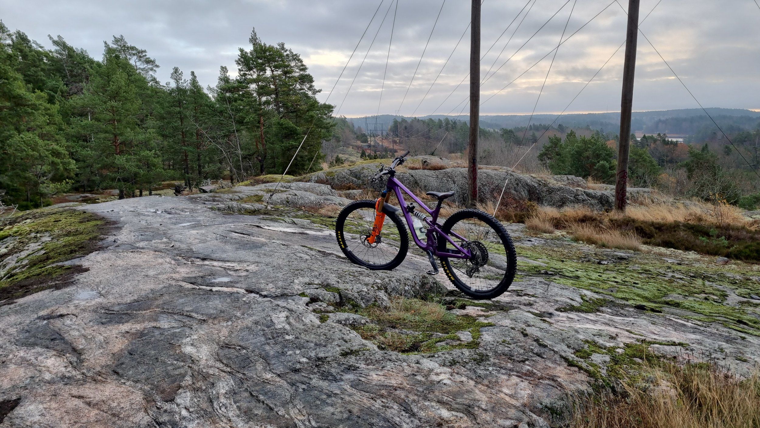 IMG-20221110-WA0000.jpeg