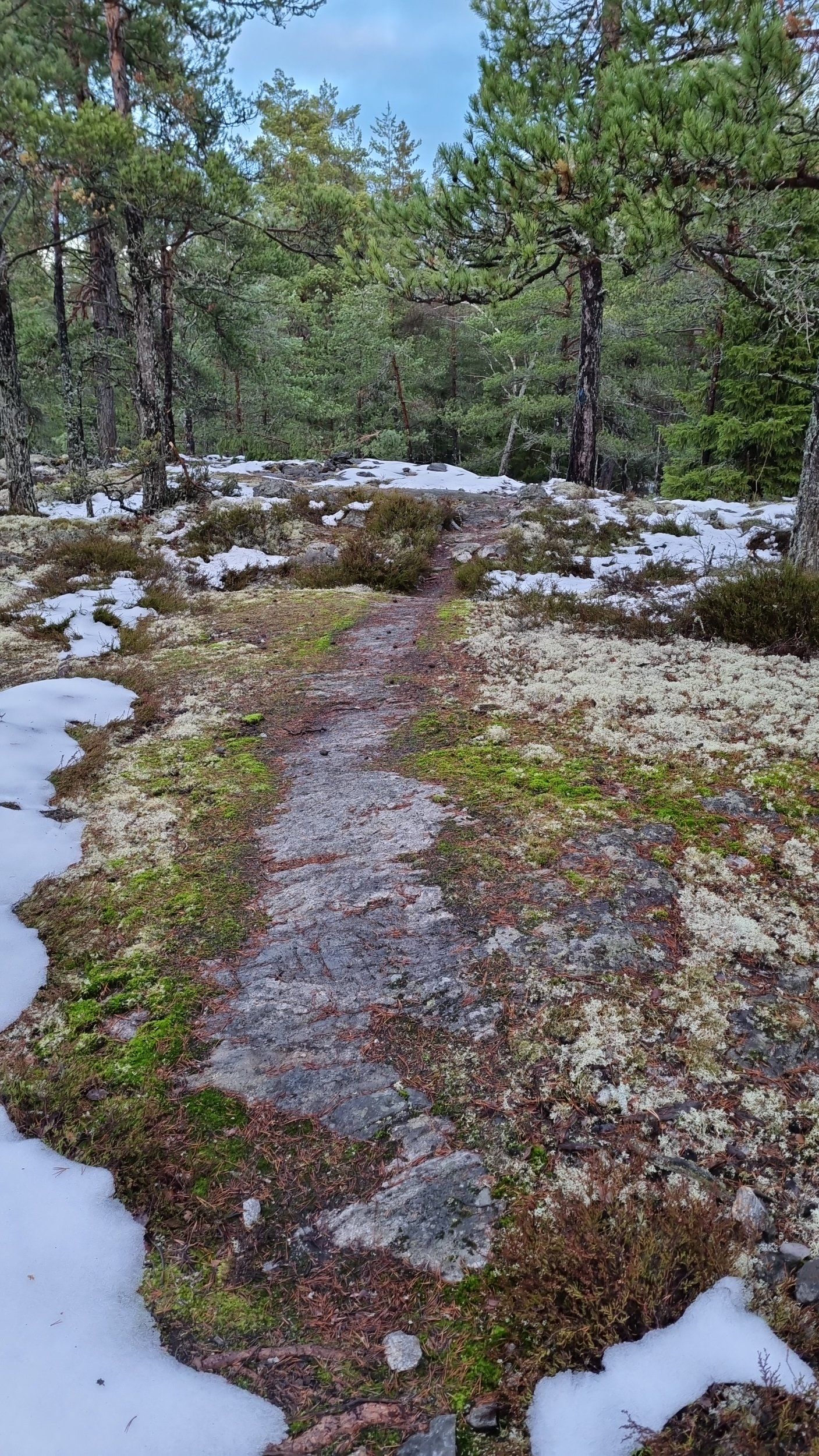 IMG-20221130-WA0001.jpeg