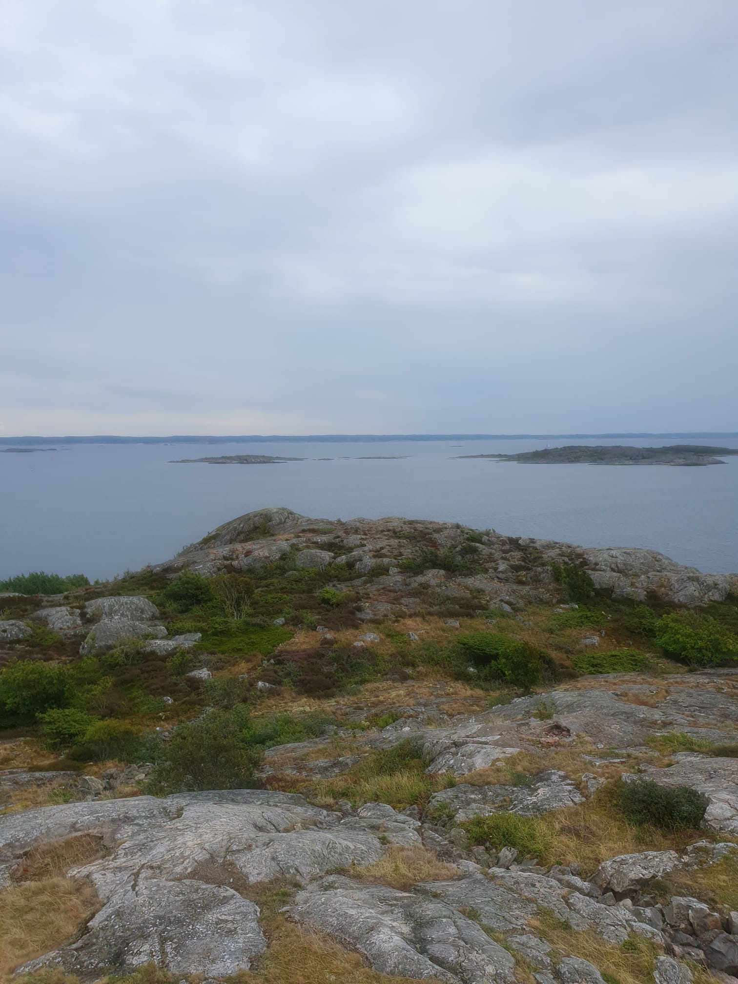 IMG-20230710-WA0007.jpg
