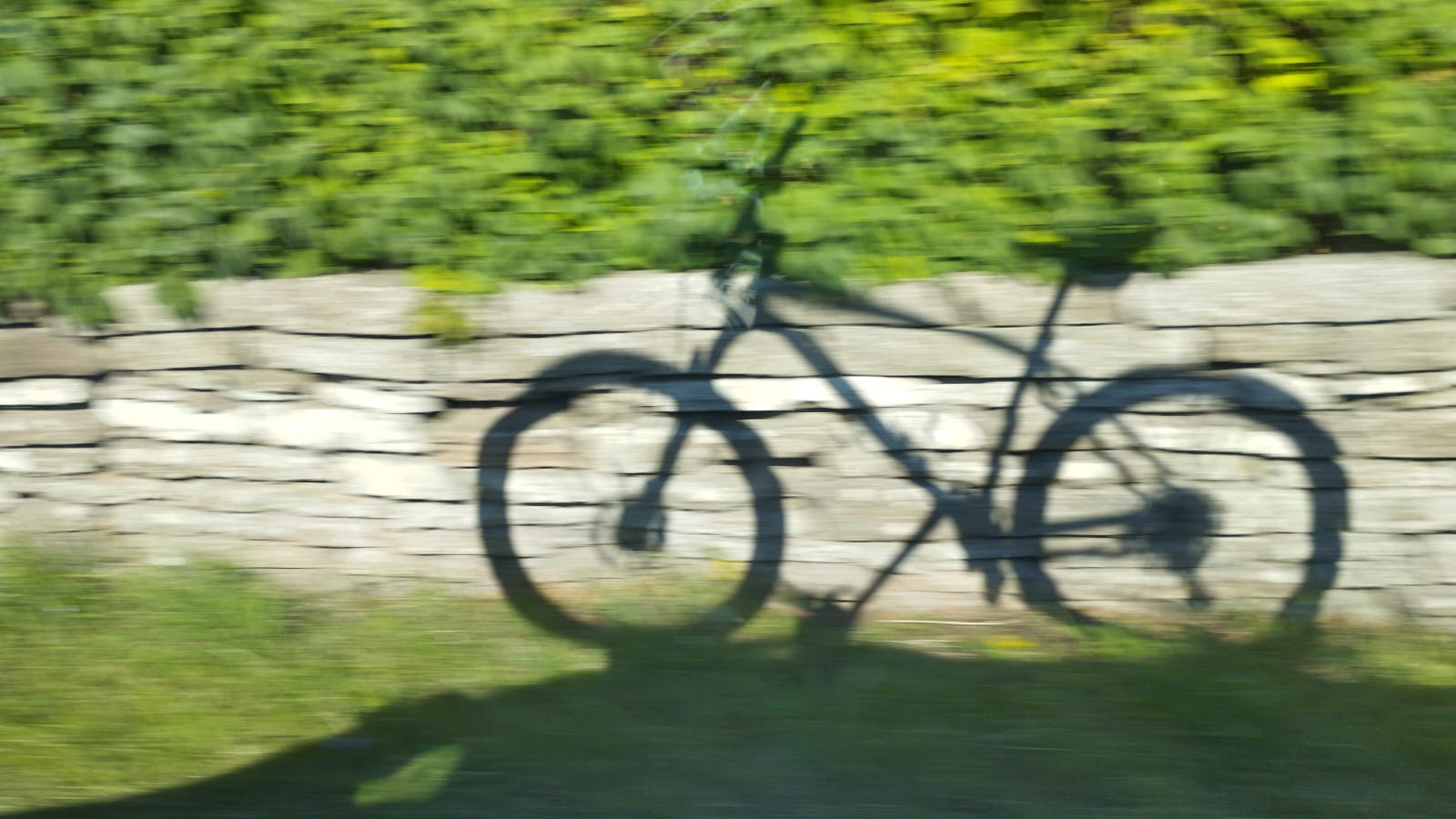 IMG-20240721-WA0001.jpg