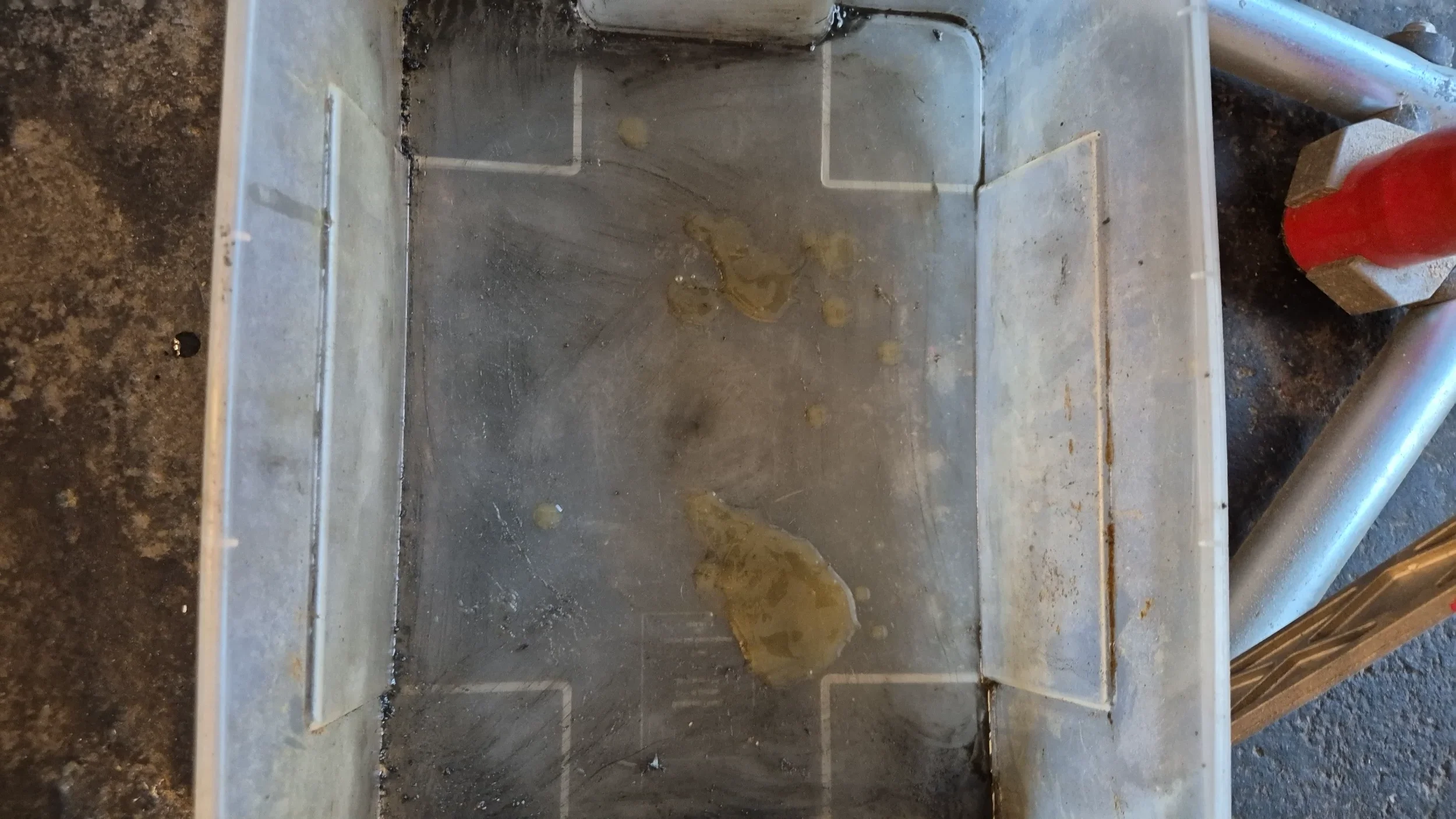 IMG-20250909-WA0004.webp