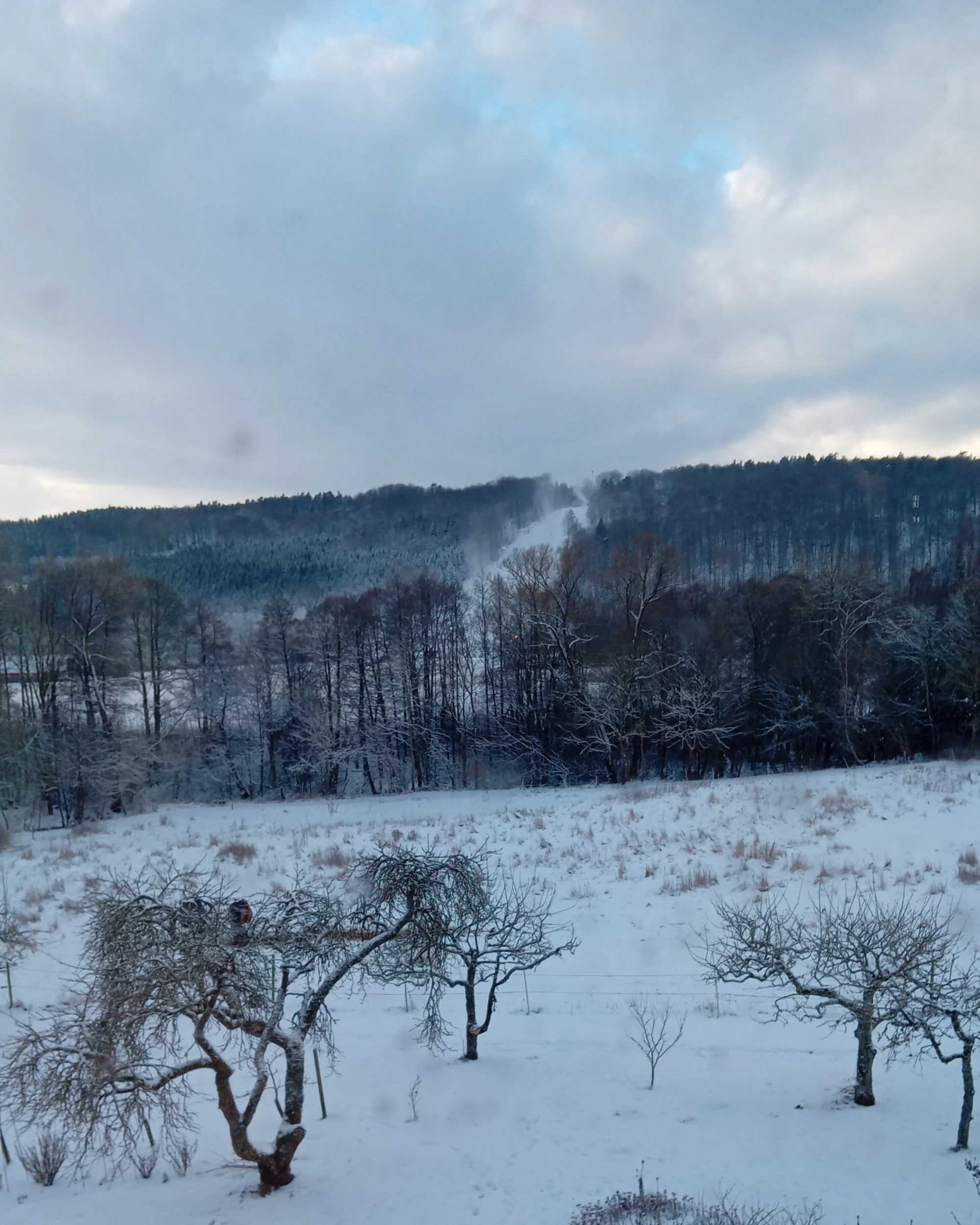IMG-20260105-WA0000.webp