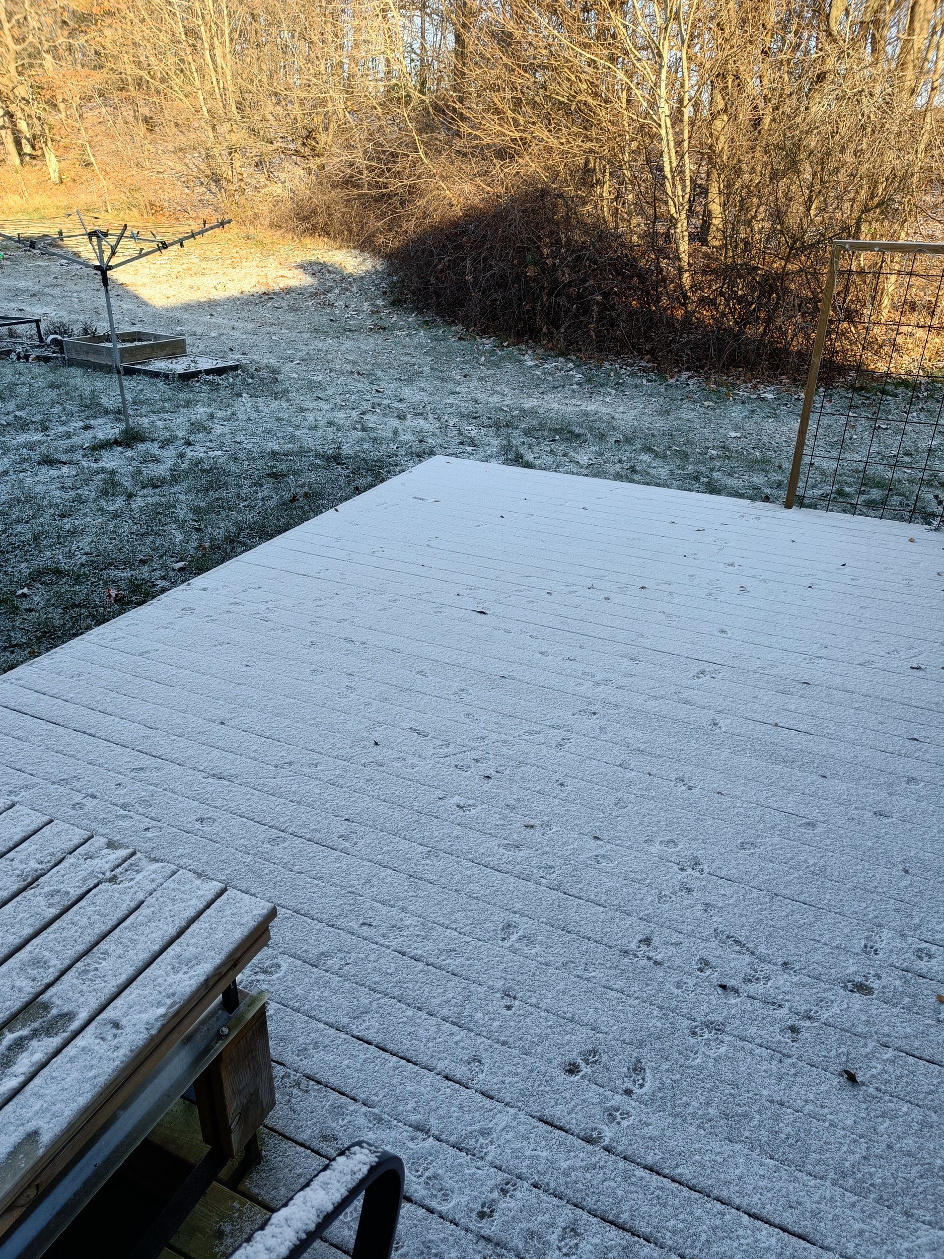 IMG20221120104724.jpg