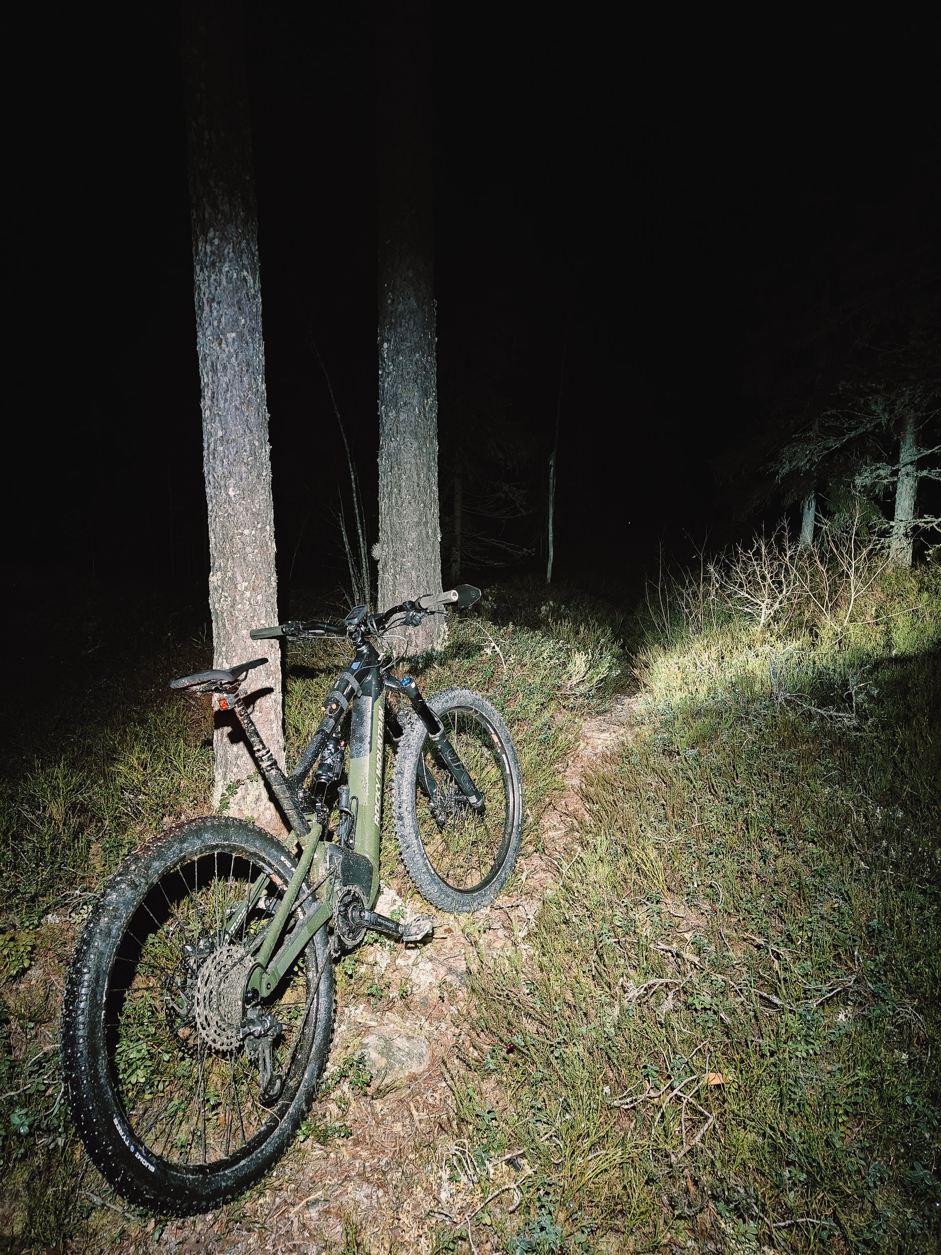 IMG20241203185319.jpg