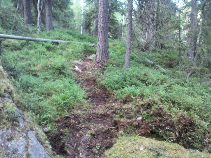 IMG557.jpg