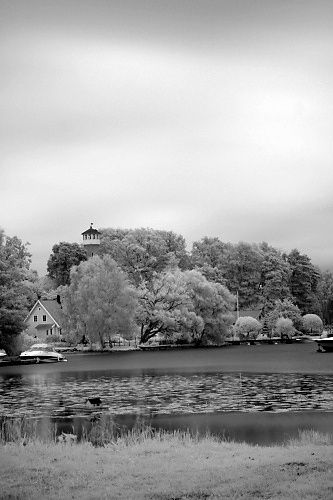 IMG_0009blogg.jpg ht=500