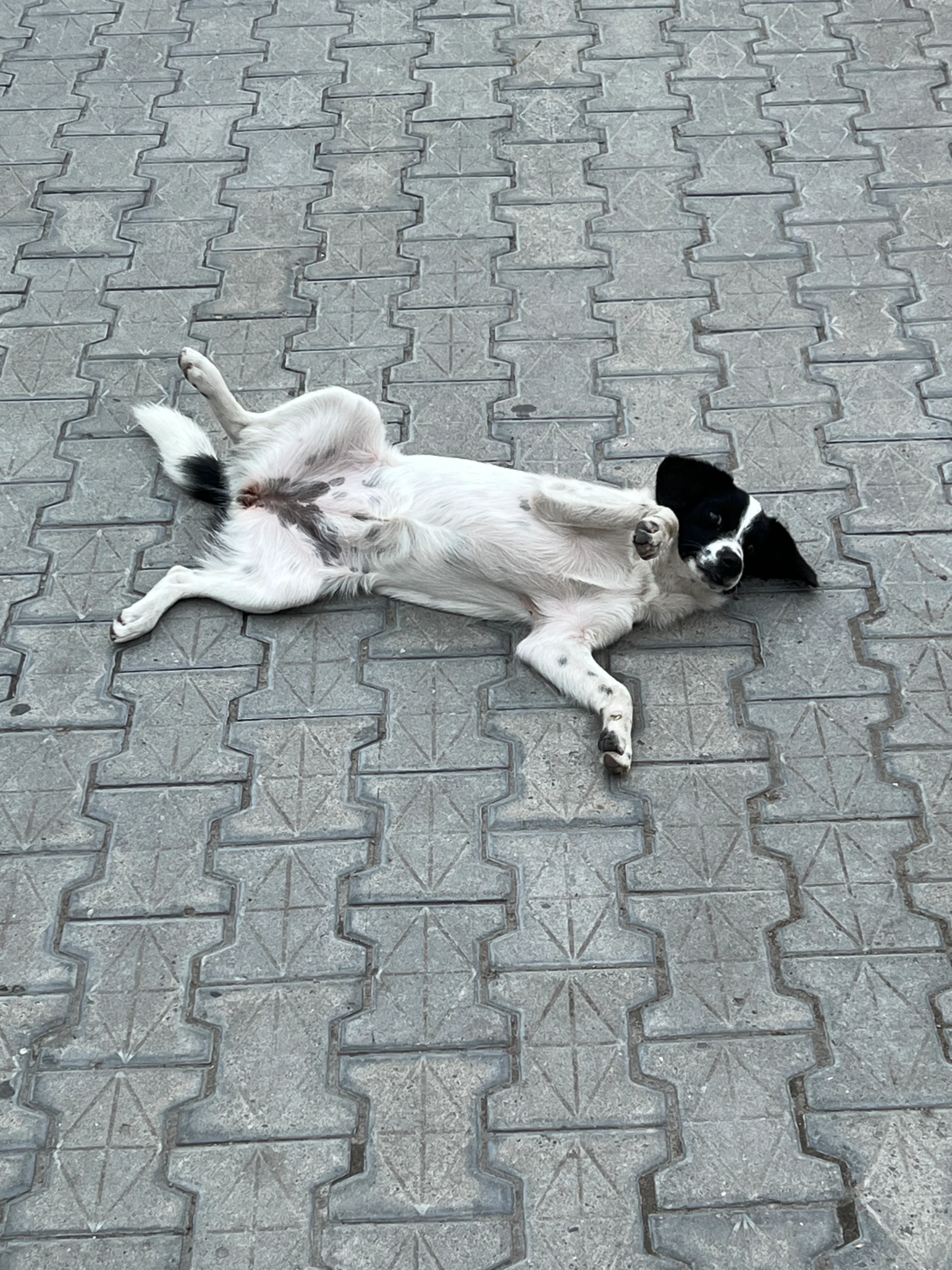 IMG_0056.webp