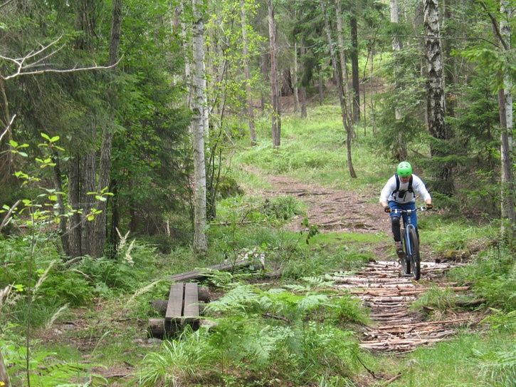 IMG_0091.JPG ht=543