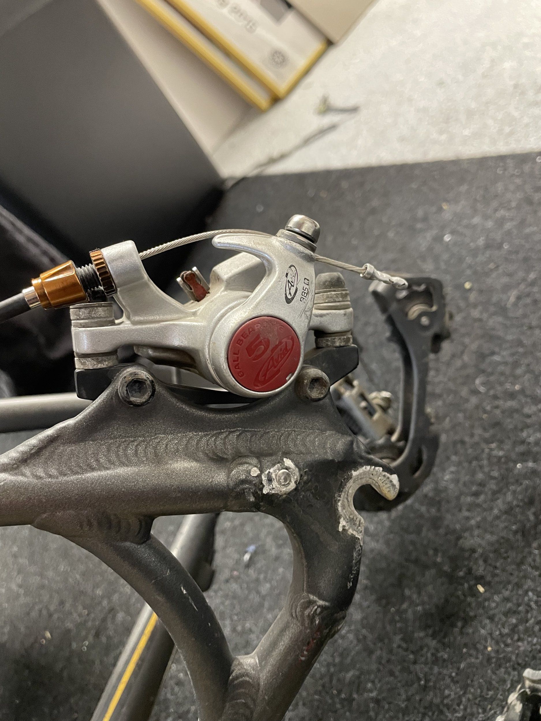 IMG_0138.jpeg