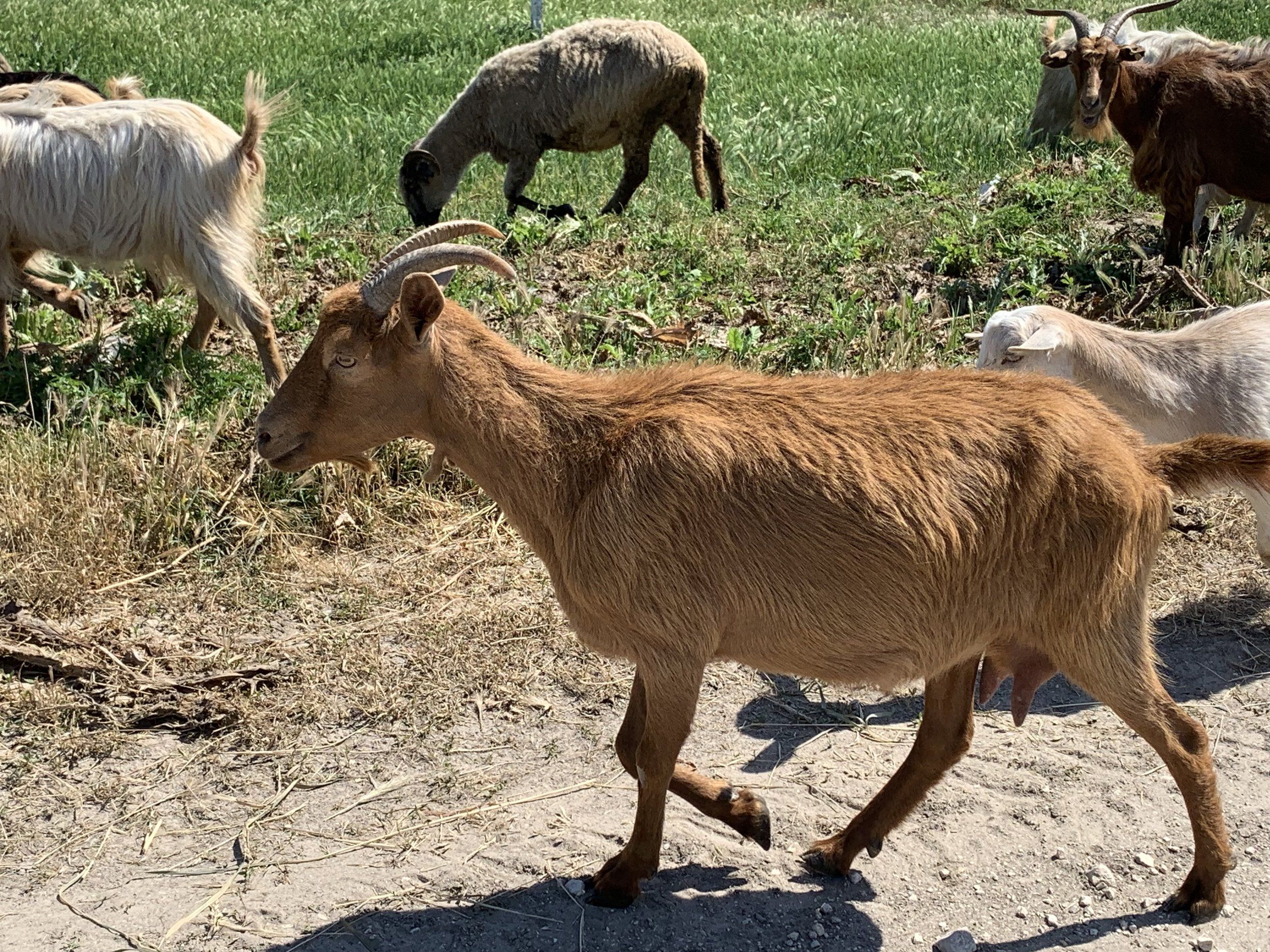 IMG_0151.jpeg