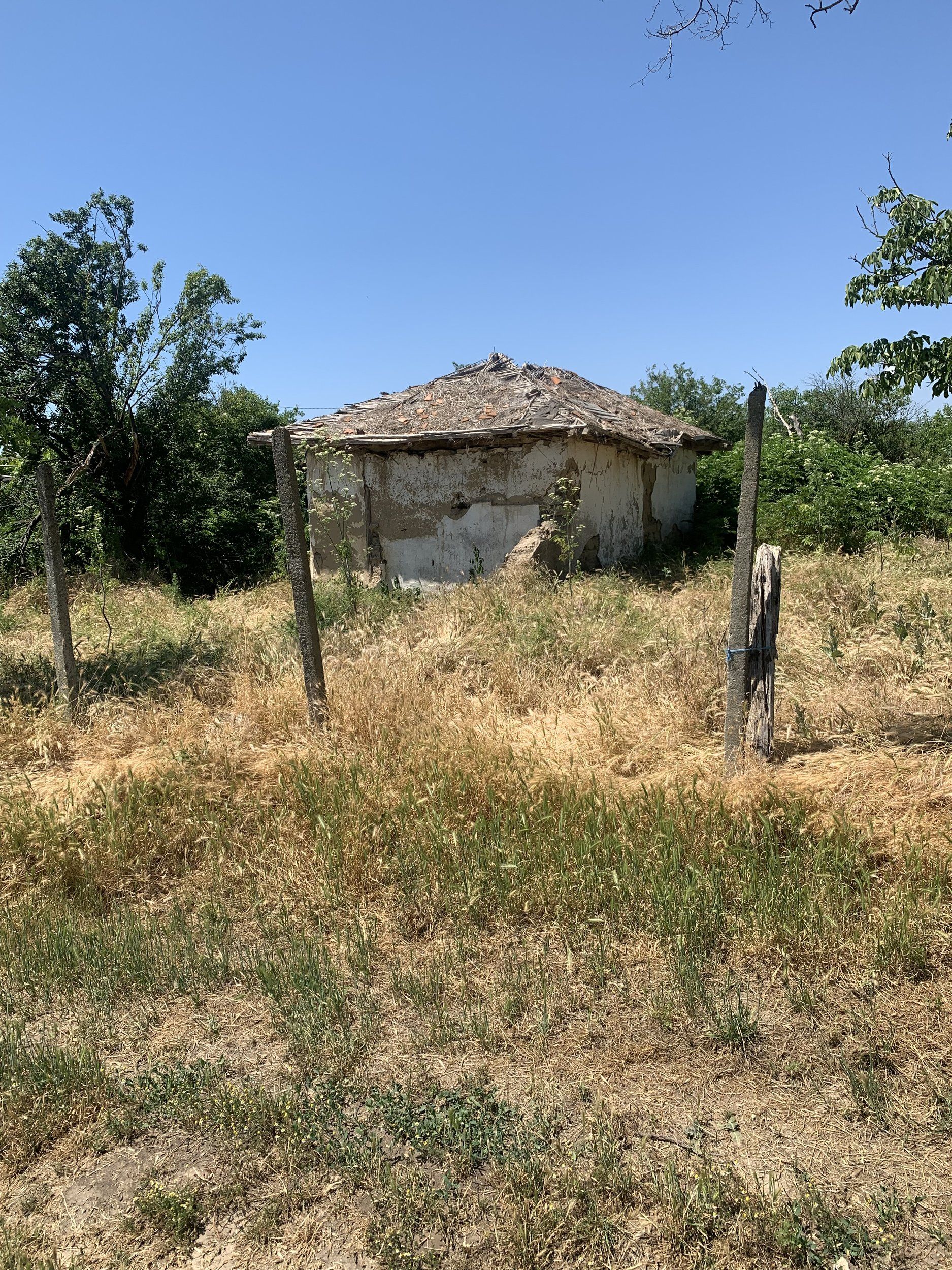 IMG_0159.jpeg