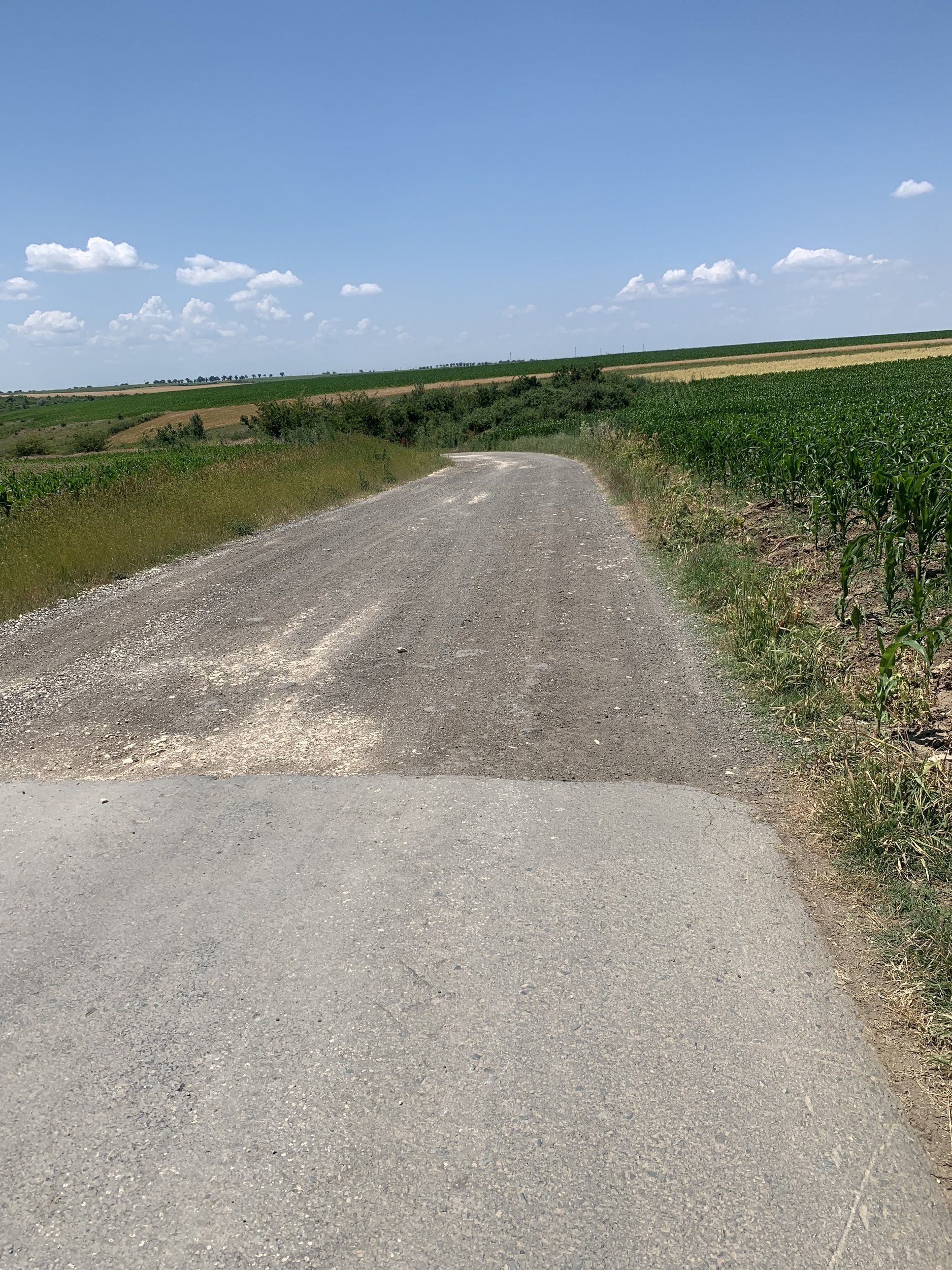 IMG_0161.jpeg