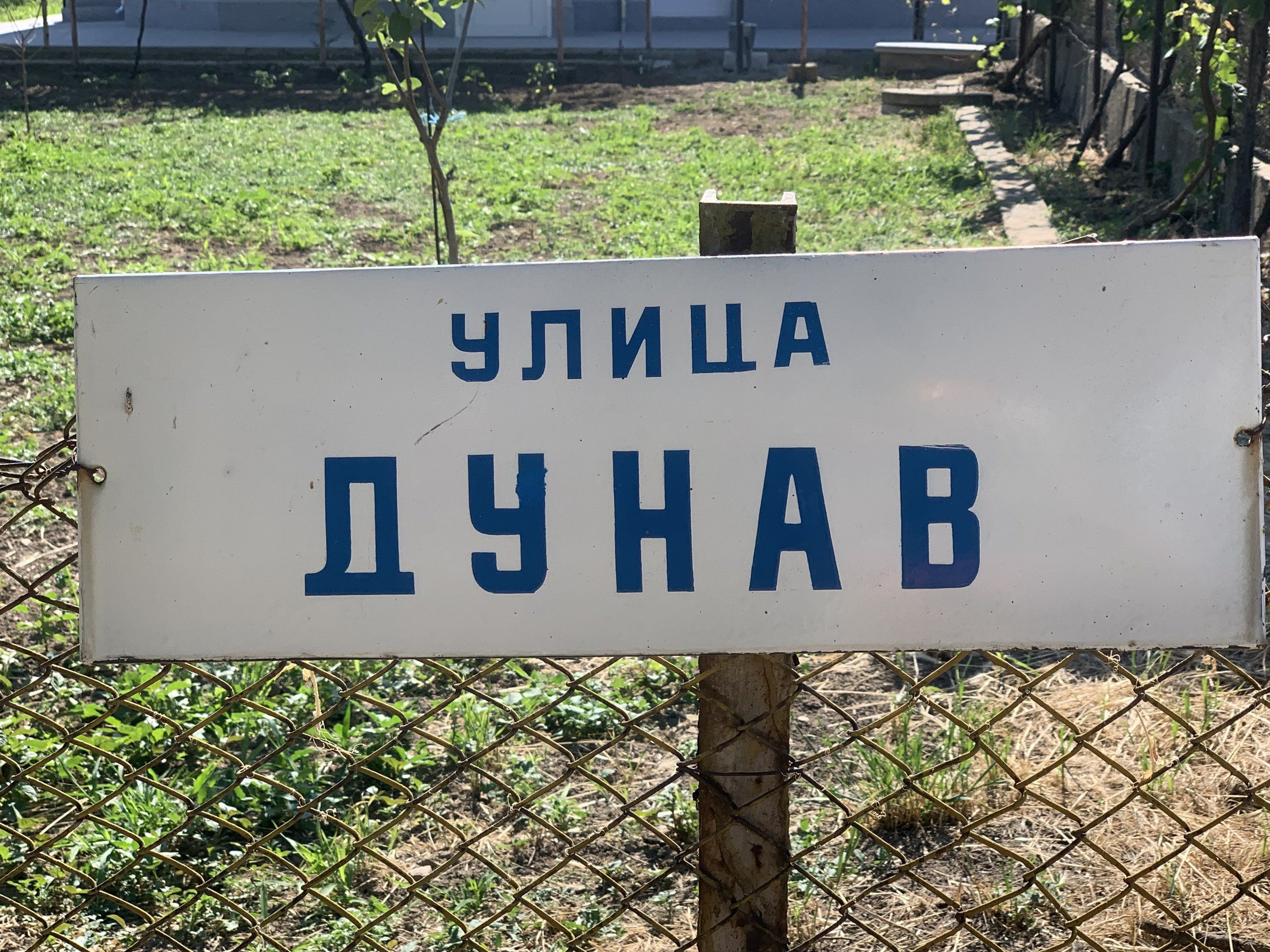 IMG_0182.jpeg