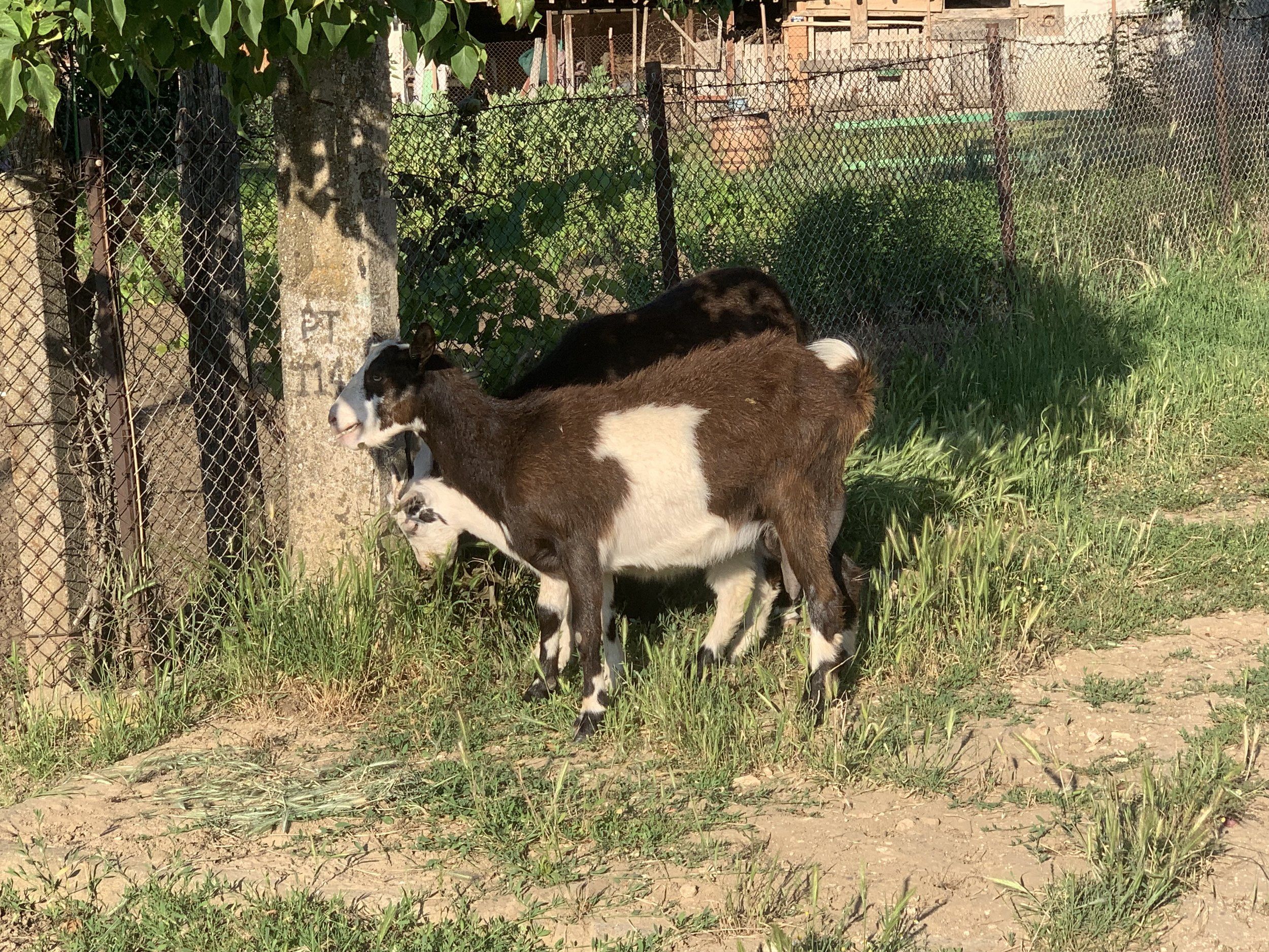 IMG_0187.jpeg
