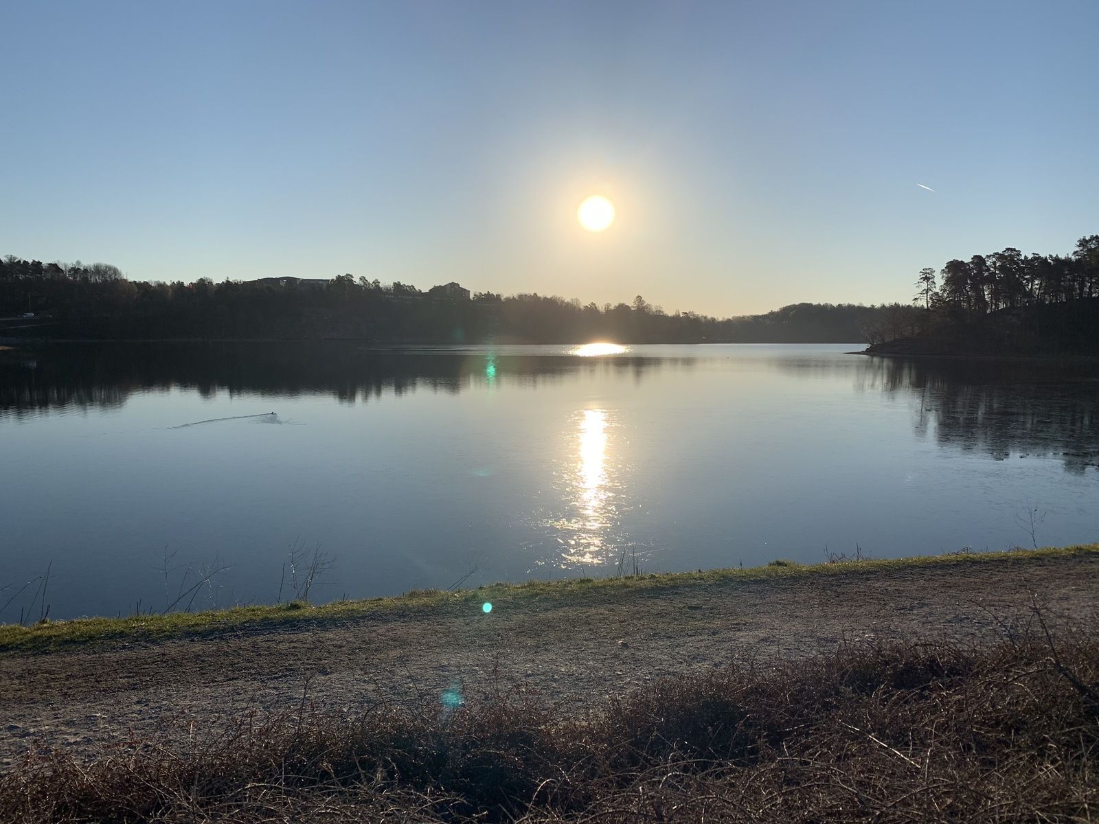 IMG_0201.JPEG