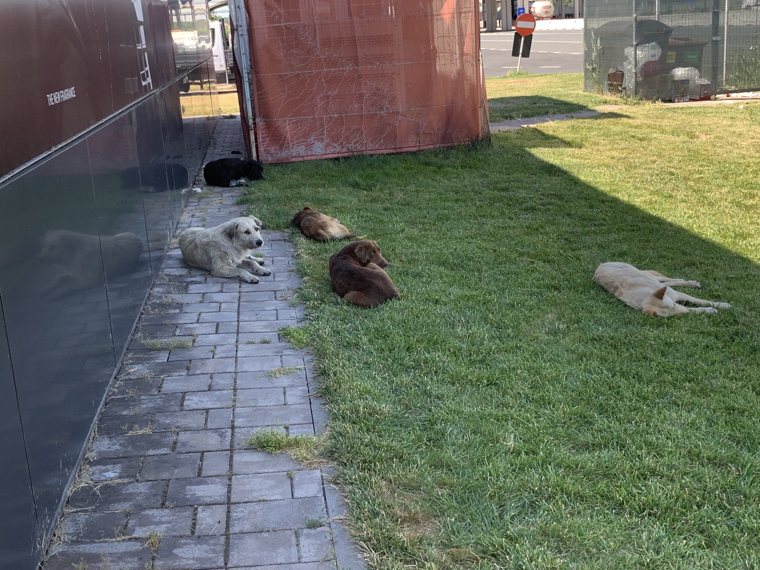 IMG_0220.jpeg