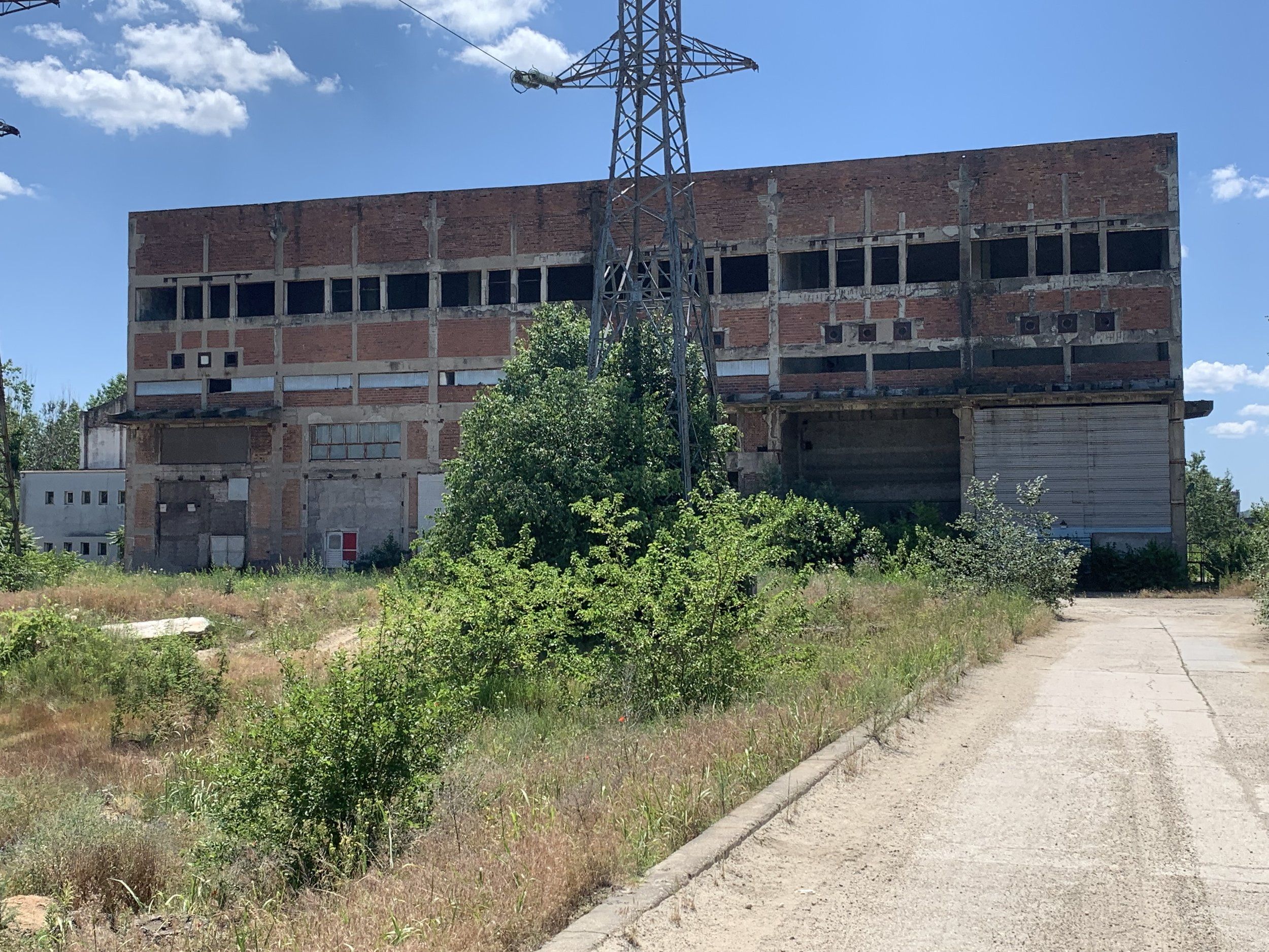 IMG_0223.jpeg