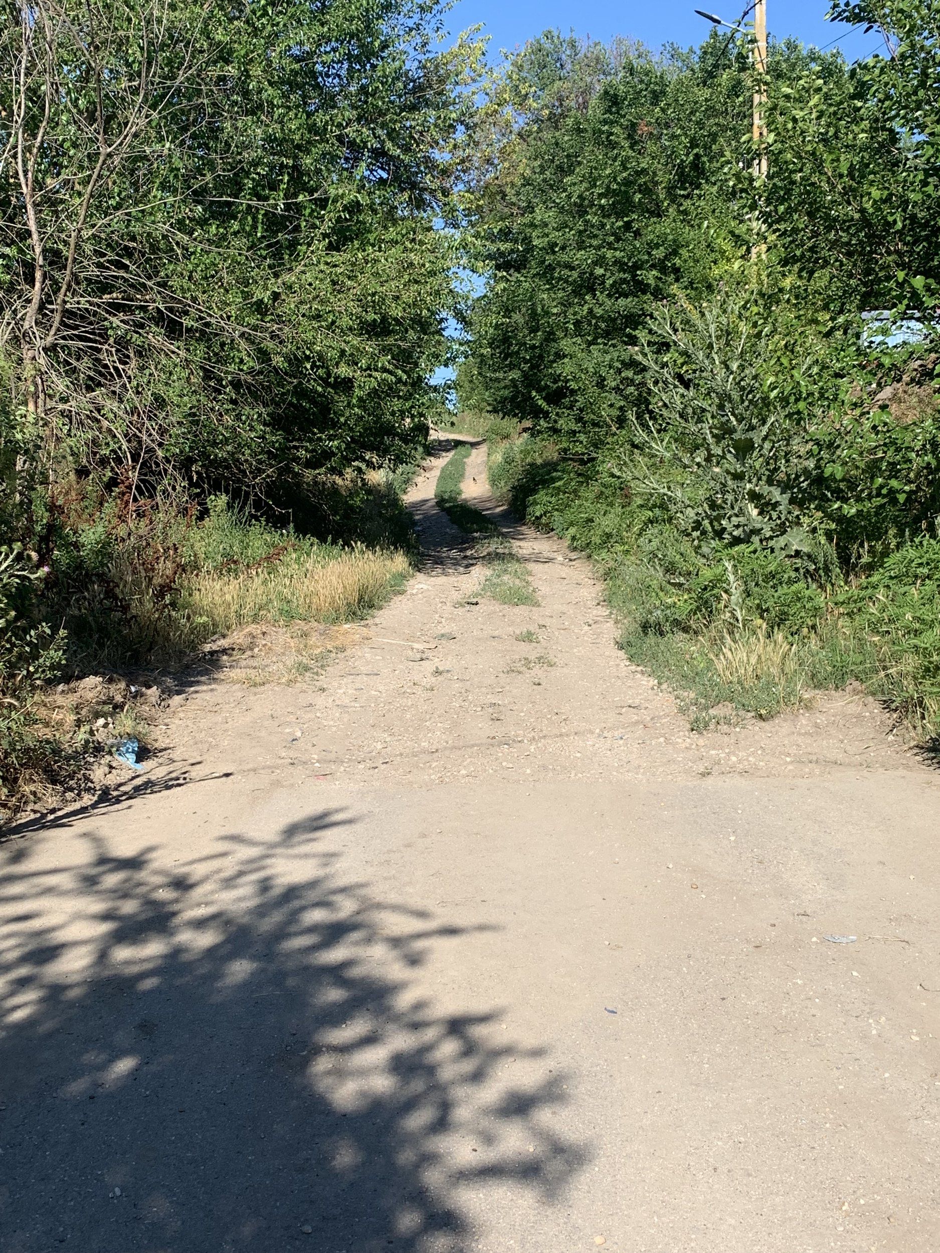 IMG_0230.jpeg