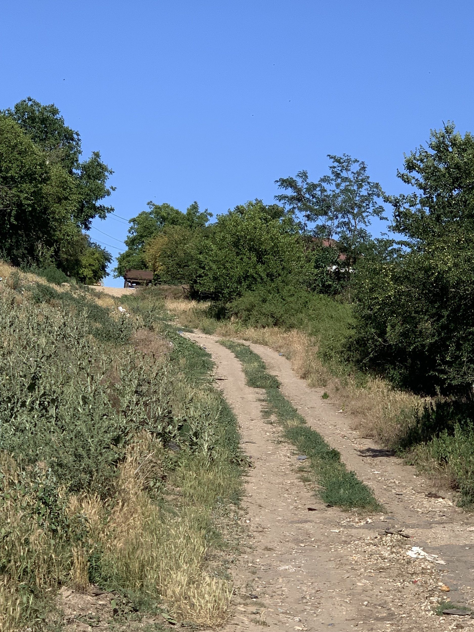 IMG_0232.jpeg